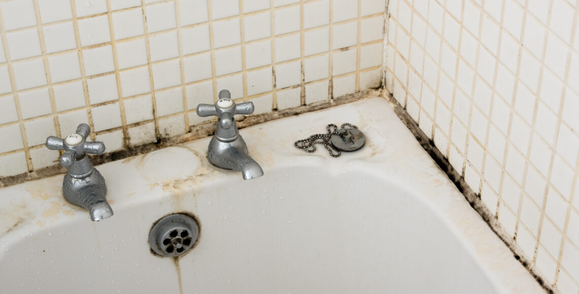 The Science Behind Black Mold Growth in Bathroom Environments